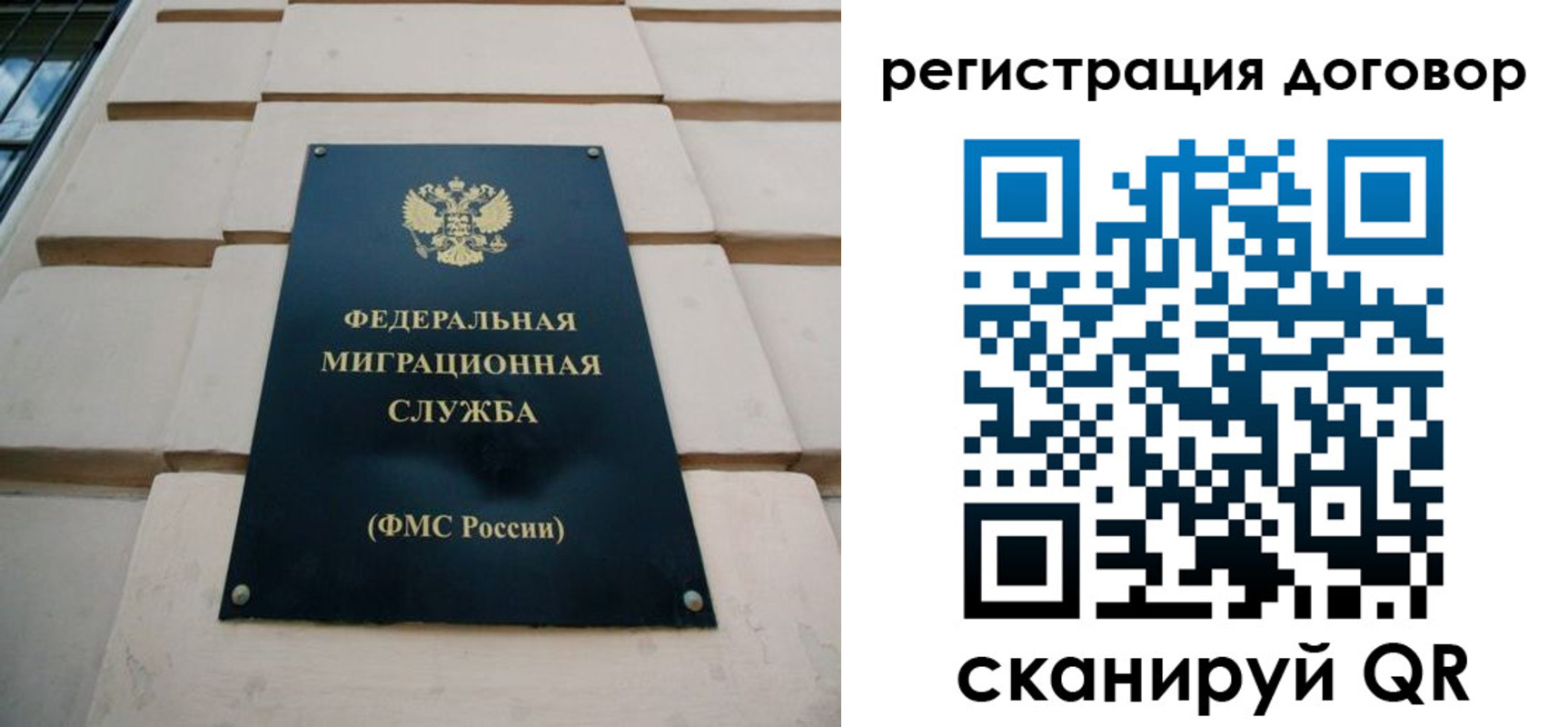 прописка в квартире в Палласовке